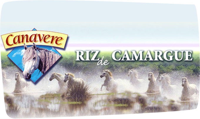 Canavere, producteurs de riz français en Camargue de génération en génération