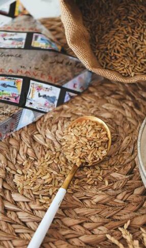 riz canavere presentation