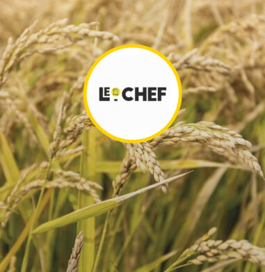 vignette canavere le chef
