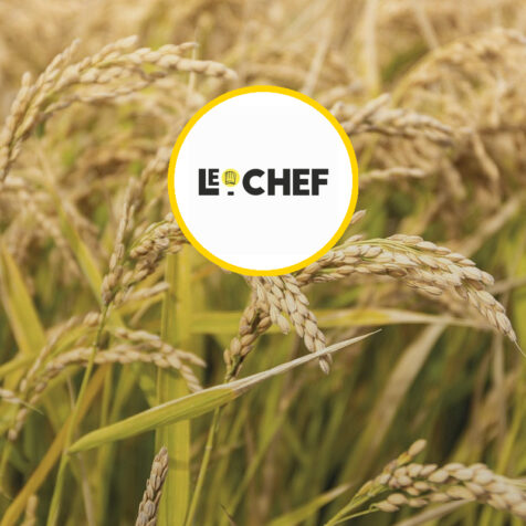 vignette canavere le chef